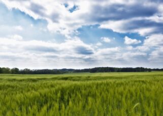 ¿Cuáles son los factores del clima?