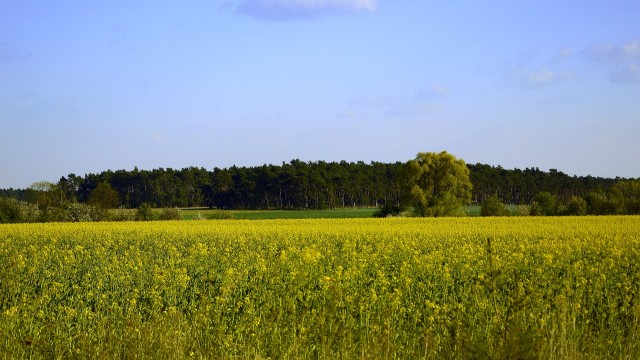 Impacto de las actividades humanas sobre la naturaleza