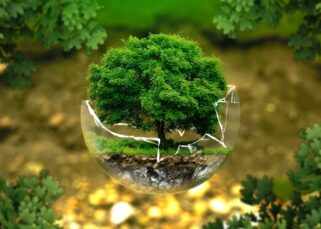¿Qué es el medioambiente?