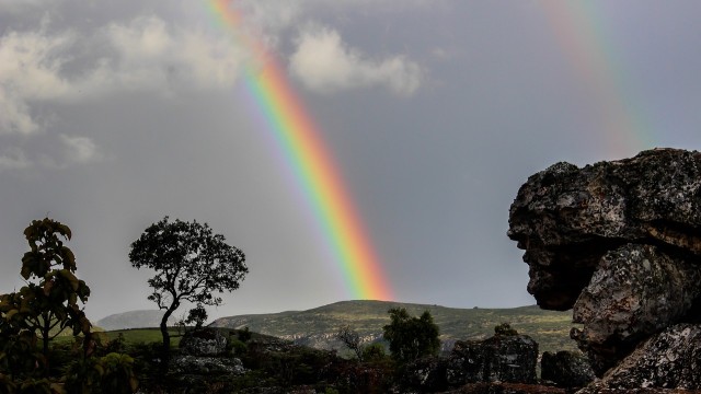 ¿Qué es la dominancia ecológica?