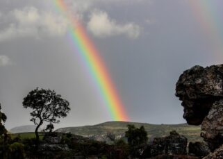 ¿Qué es la región Omagua o selva baja?