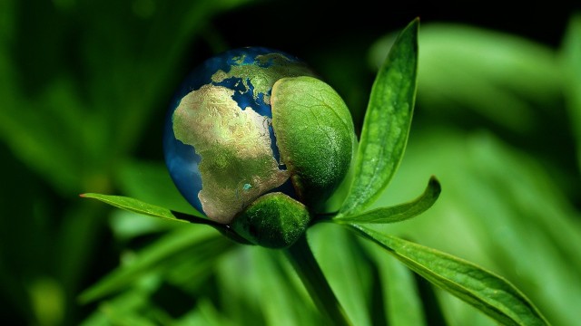 ¿Qué son las energías limpias?