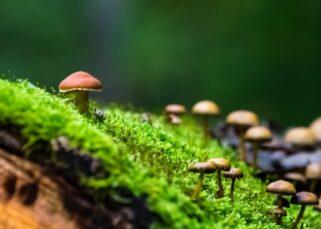 ¿Qué son los fenómenos atmosféricos?