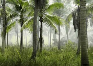 Recursos naturales de Baja California