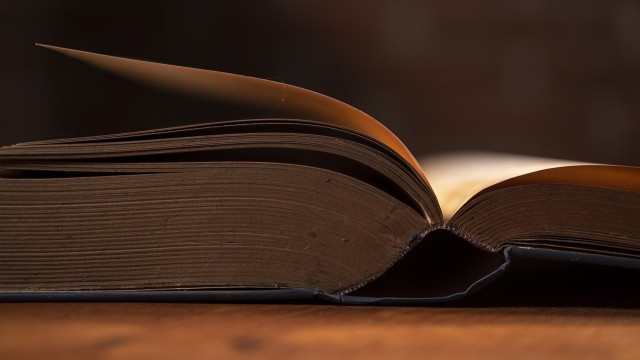 Poemas de amor cortos con su autor