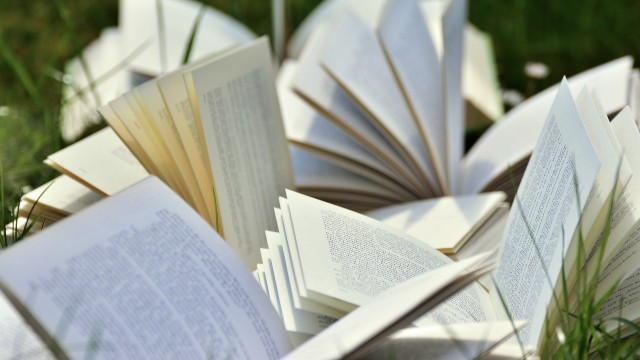 Resumen de la novela «El coronel no tiene quien le escriba», de Gabriel García Márquez