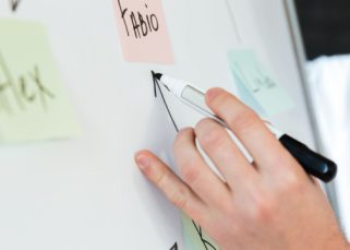 Organizador gráfico