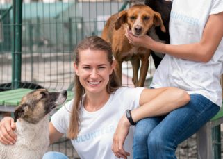 Refugio de animales