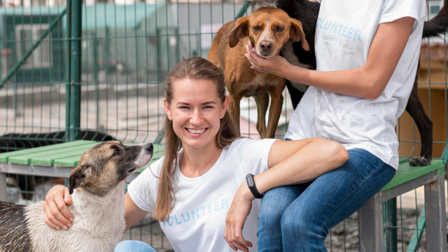 Refugio de animales