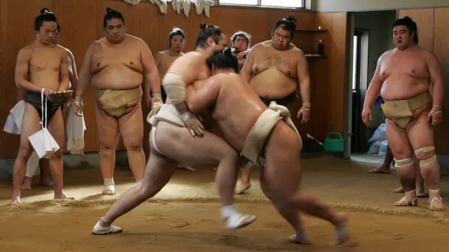 Sumo